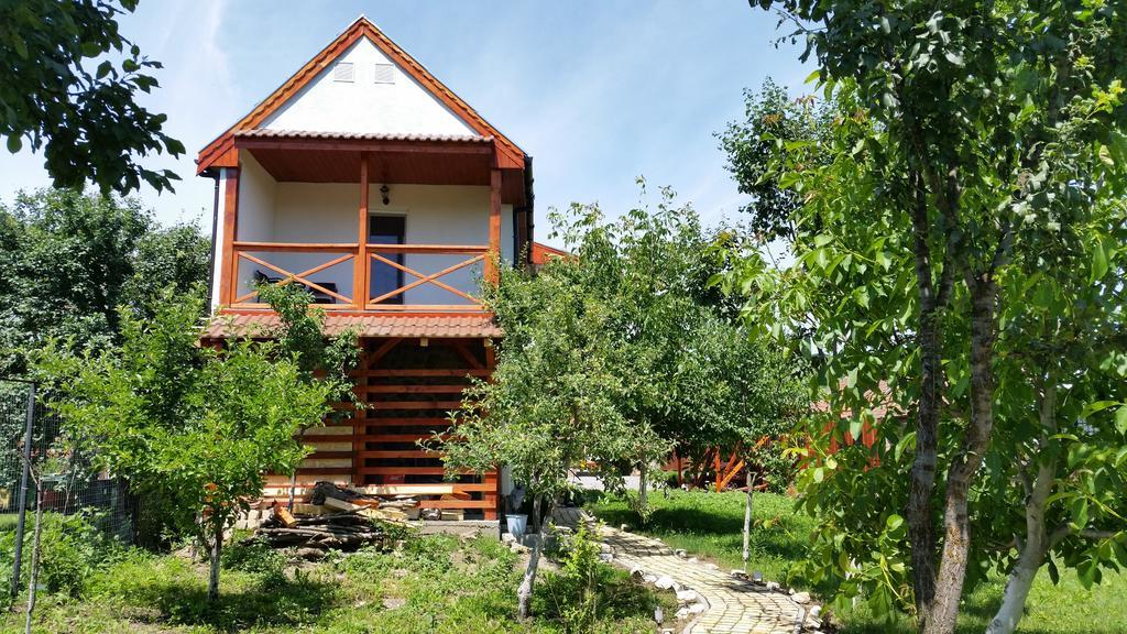 Casa Agnes Vendeghaz Hotel Fantanele  Ngoại thất bức ảnh