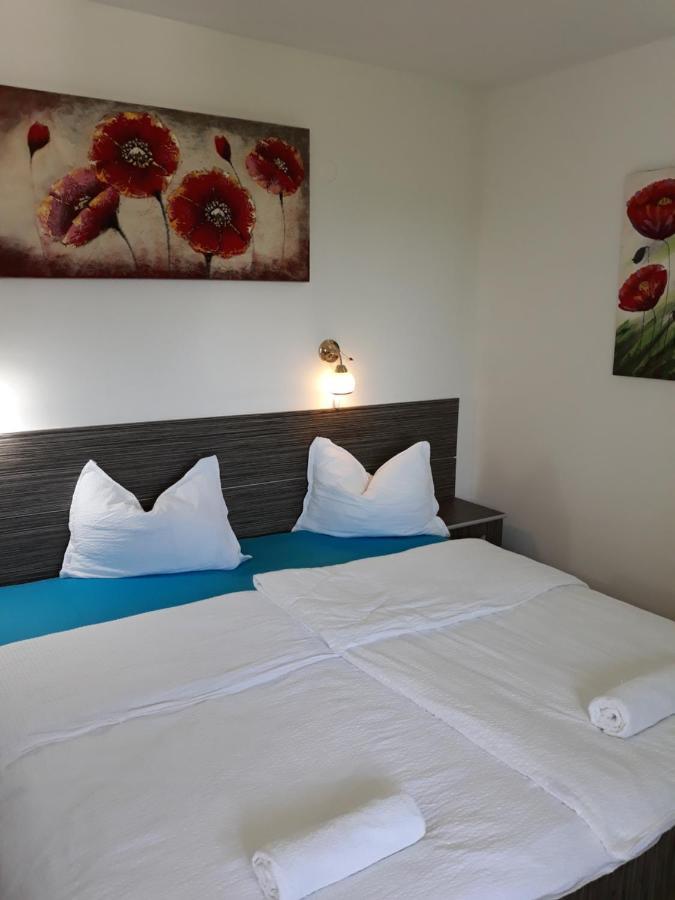 Casa Agnes Vendeghaz Hotel Fantanele  Ngoại thất bức ảnh